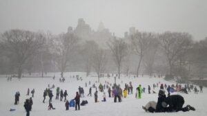 snow, central park, new york, new, cold, tree, york, central park new york, cityscape, landscape, frozen, winter, manhattan, nature, sledding, gray news, gray park, gray new