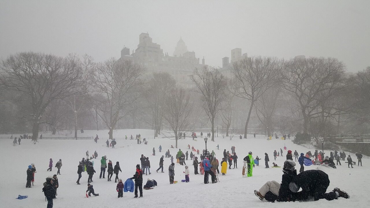 snow, central park, new york, new, cold, tree, york, central park new york, cityscape, landscape, frozen, winter, manhattan, nature, sledding, gray news, gray park, gray new